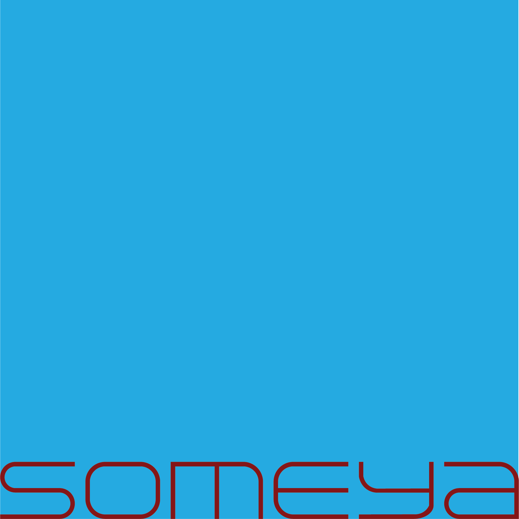 The Someya Group